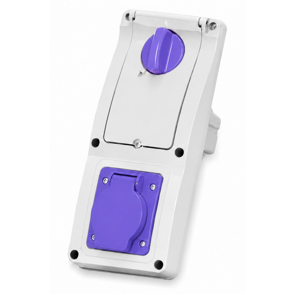 Pr.Int.2P 16A 150VA 24V VIOLA IP44