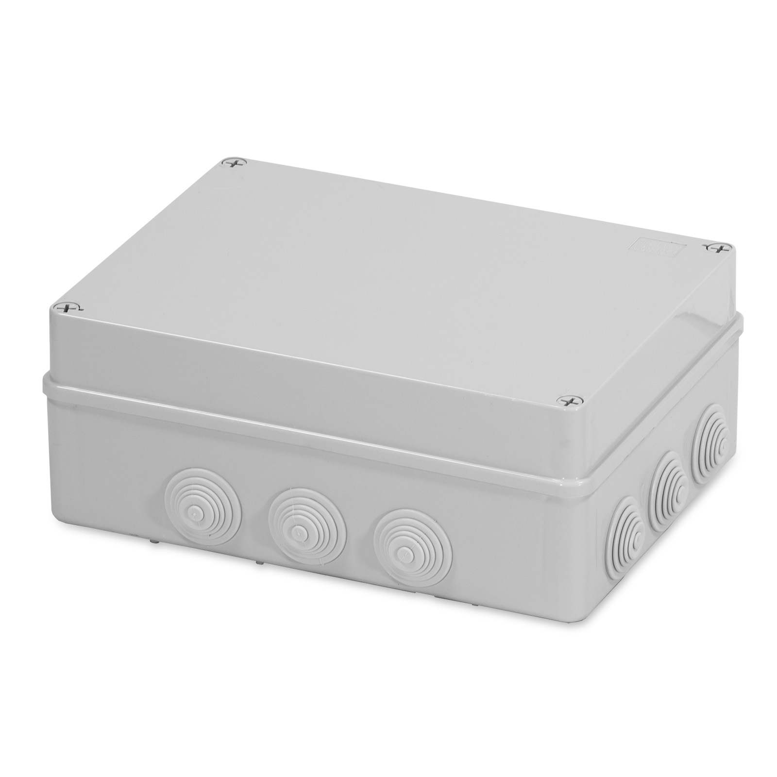 Cas.Der.300x220x120 IP55 c/Viti c/pas